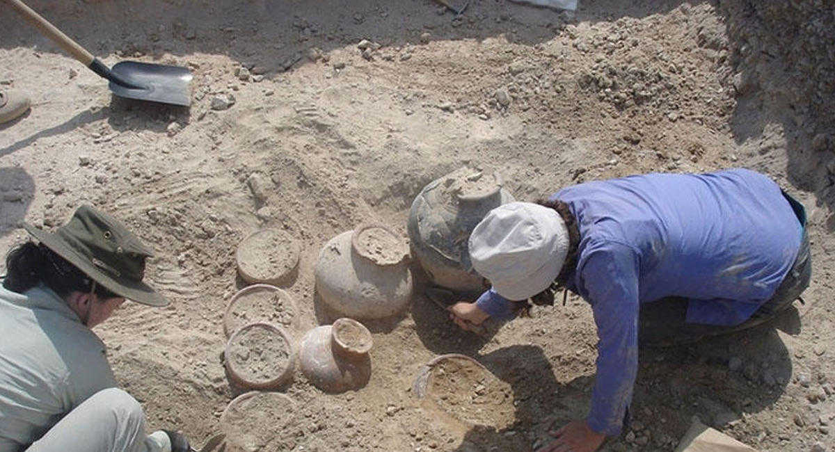 Scientists announce unique discovery in Nakhchivan