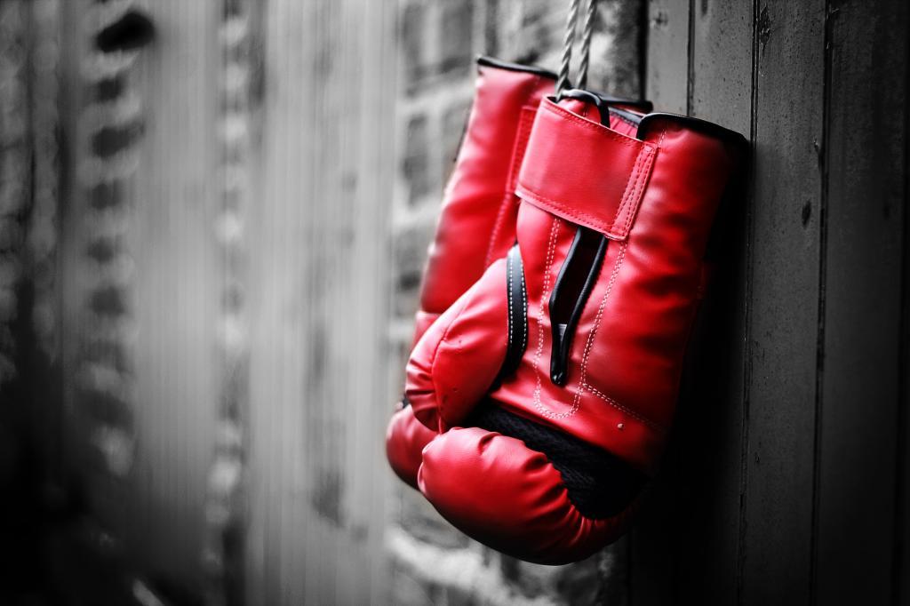 Four Azerbaijani boxers leave sport [PHOTO]