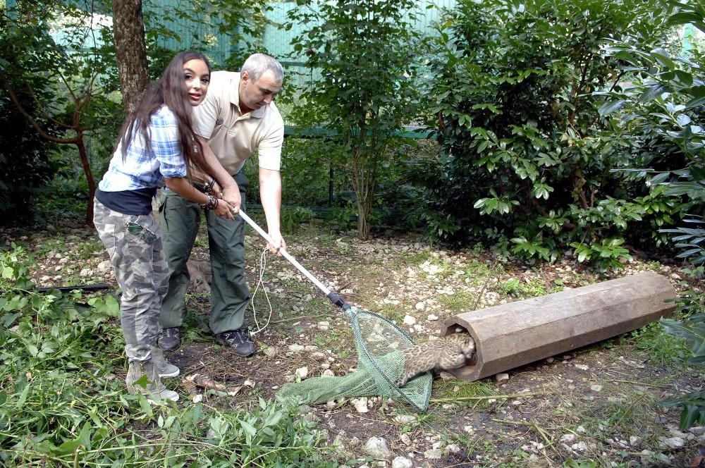 Leyla Aliyeva visits Leopard Reintroduction Center in Caucasus [PHOTO]