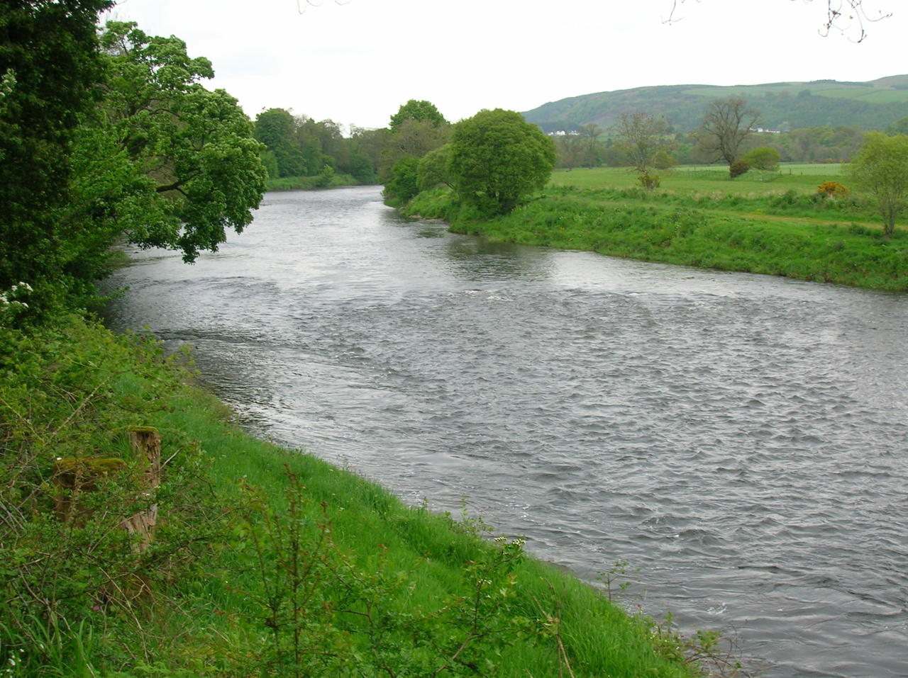 Armenia, Georgia continue to pollute Kura River