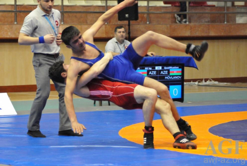 Junior Azerbaijani wrestler crowned world champion [PHOTO]