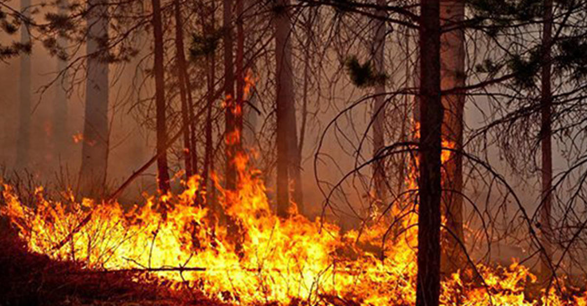 Armenians set fire to occupied Azerbaijani lands