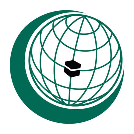 OIC strongly condemns Armenia's aggression against Azerbaijan  (Exclusive)
