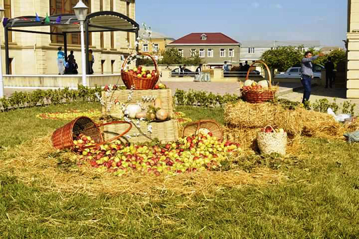 Guba:  Multicolor festival of apples [PHOTO]