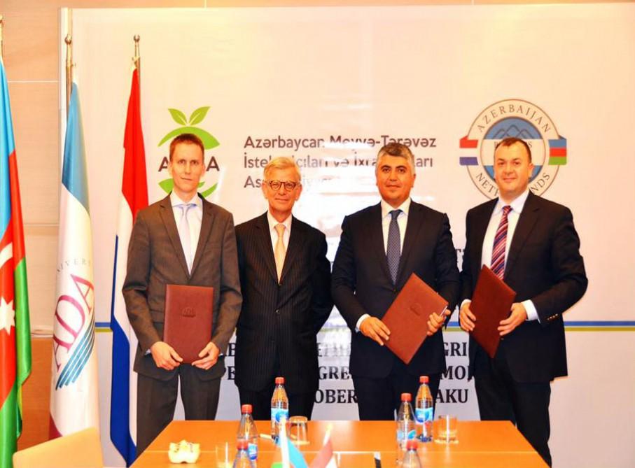 Azerbaijan, Netherlands mull agricultural cooperation