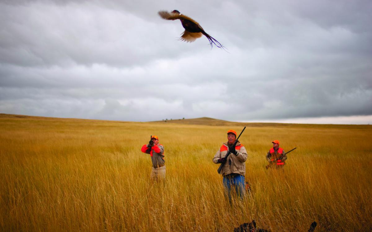 Ecology Ministry in pursuit of poachers