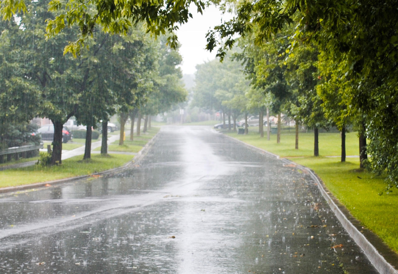 Rainy weather forecasted in Baku