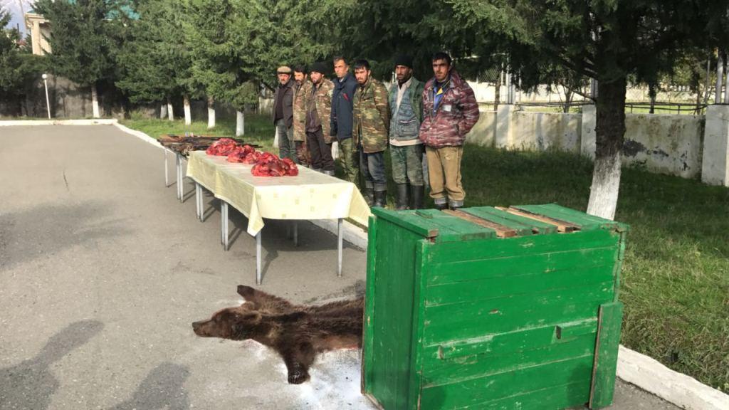 Poachers arrested on charge of killing bears [PHOTO]