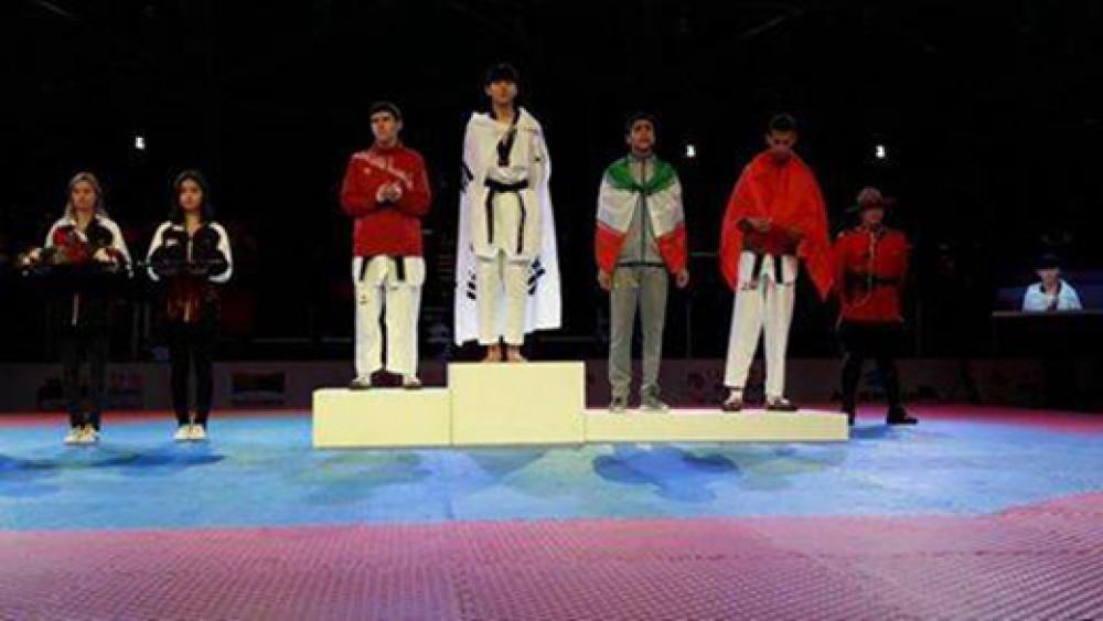 Junior Azerbaijani taekwondo fighter claims world silver in Canada