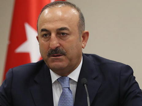 Cavusoglu accused Germany of favoring No campaign