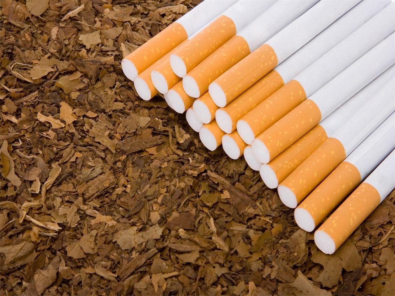 Survey: Tobacco contraband scale 13 percent in Azerbaijan