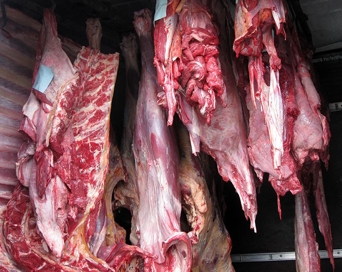 Azerbaijan to export horseflesh to Moldova