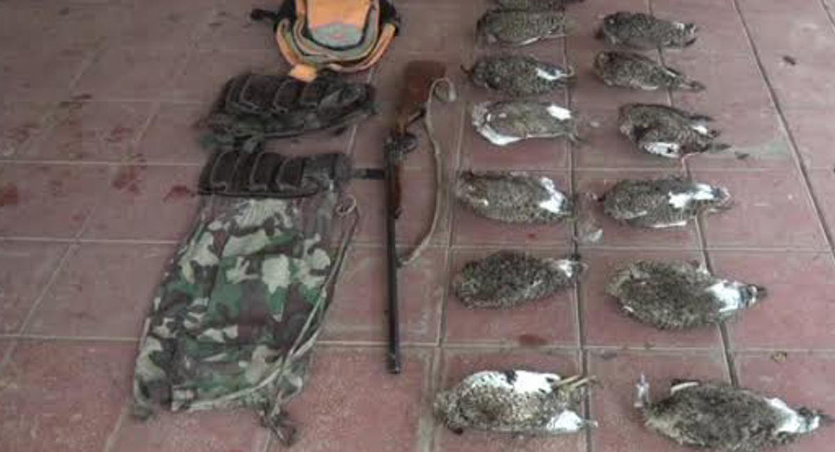 Hunter of rare birds detained in Bilasuvar