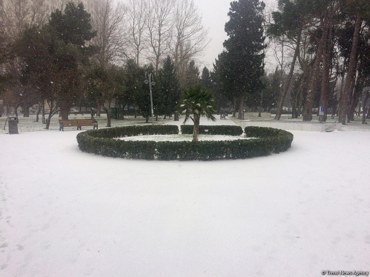 Snowstorm hits Baku [PHOTO]