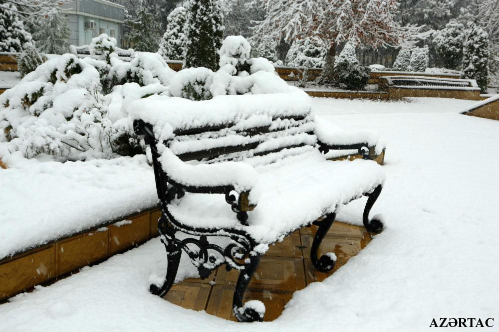 Slider Image 1