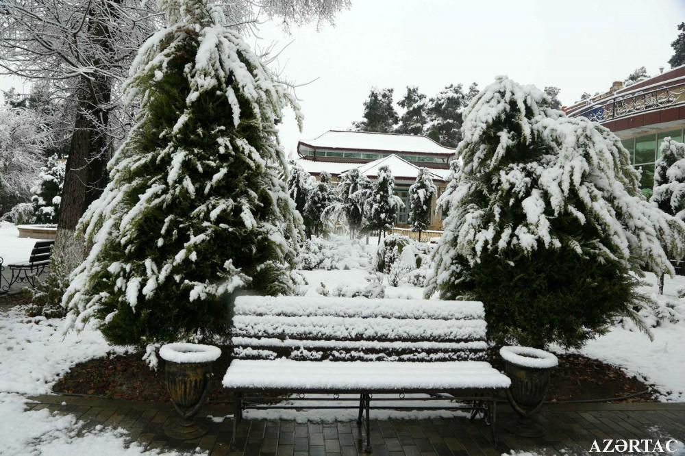 Slider Image 1
