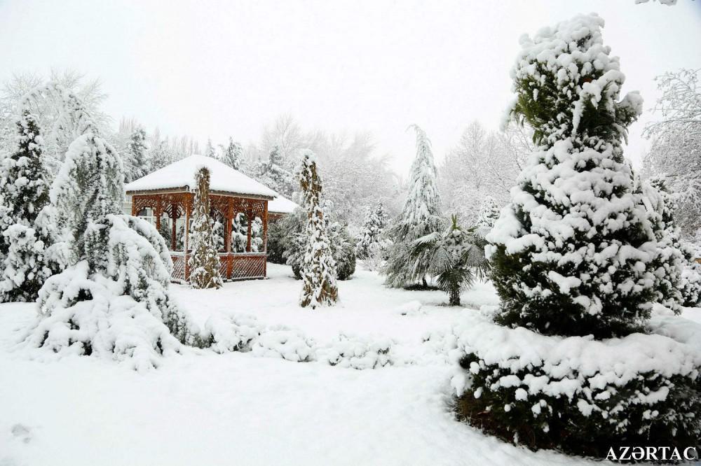 Enjoy snow in winter's Aghjabadi! [PHOTO]