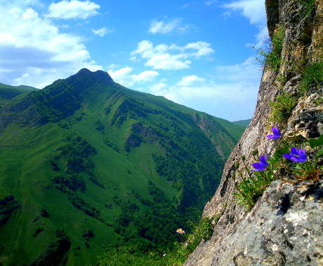 Shahdag resort in top-5 of most popular tourists destinations