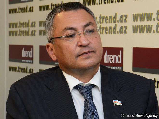 Azerbaijani MP: Criticism of CoE Sec.Gen’s appeal is far from human thinking