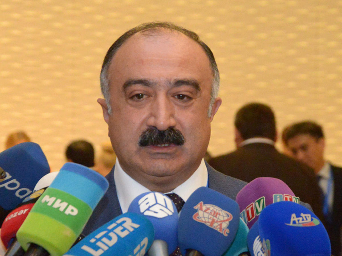 Azerbaijan to develop program on flight security