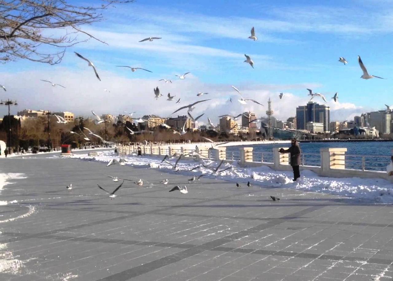 Snowy weather stays in Baku