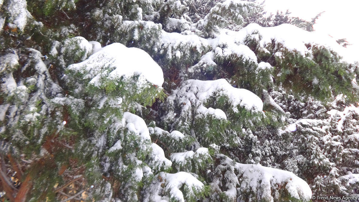 Snow expected tomorrow