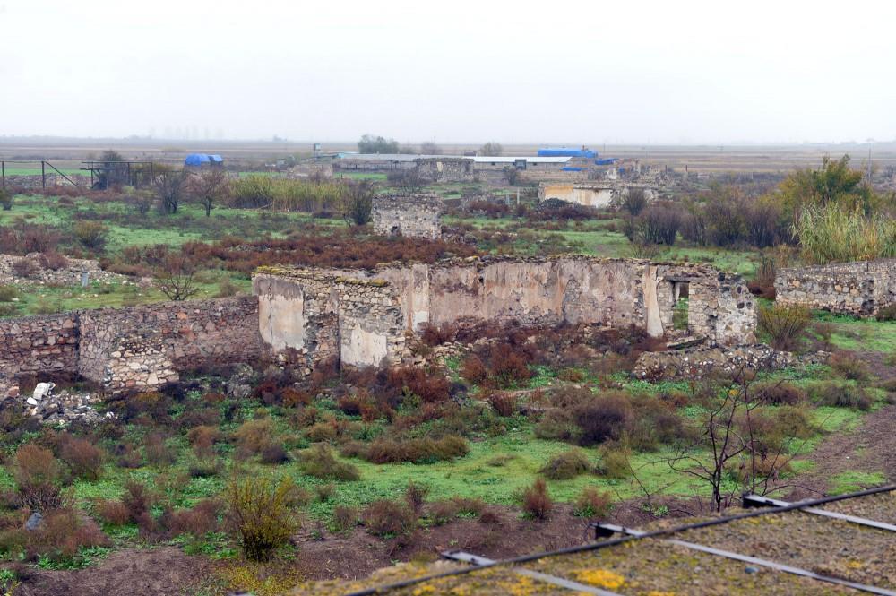 Foreign journalists visit Jojug Marjanli liberated from Armenian occupation [PHOTO] - Gallery Image