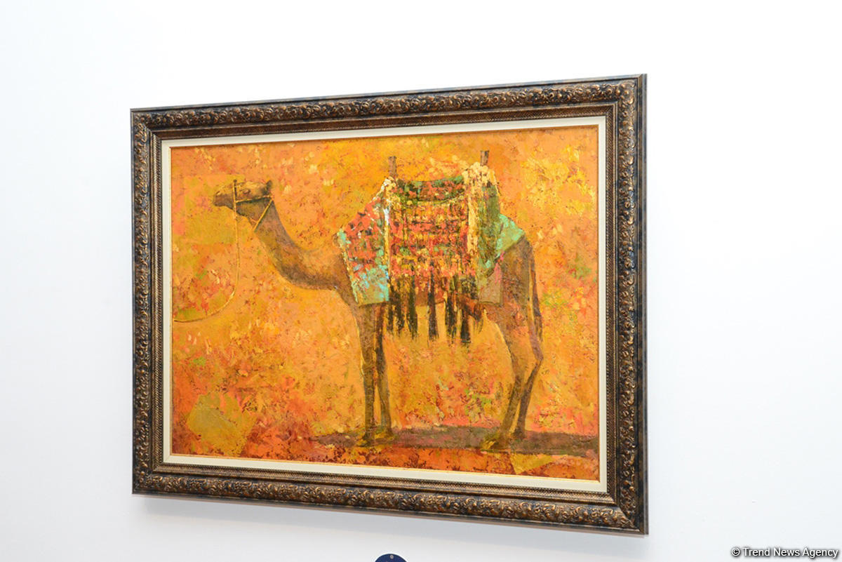 Slider Image 1