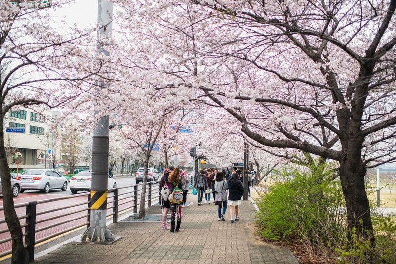 Seoul hosts exhibition dedicated to Azerbaijan [PHOTO]