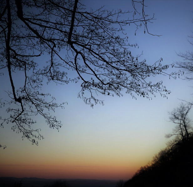 Slider Image 1