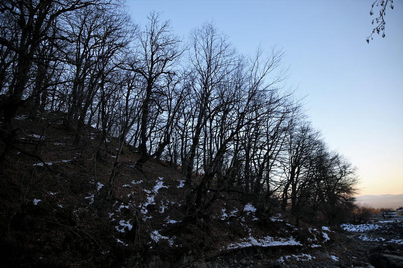 Slider Image 1