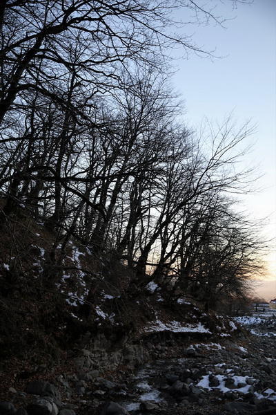 Slider Image 1
