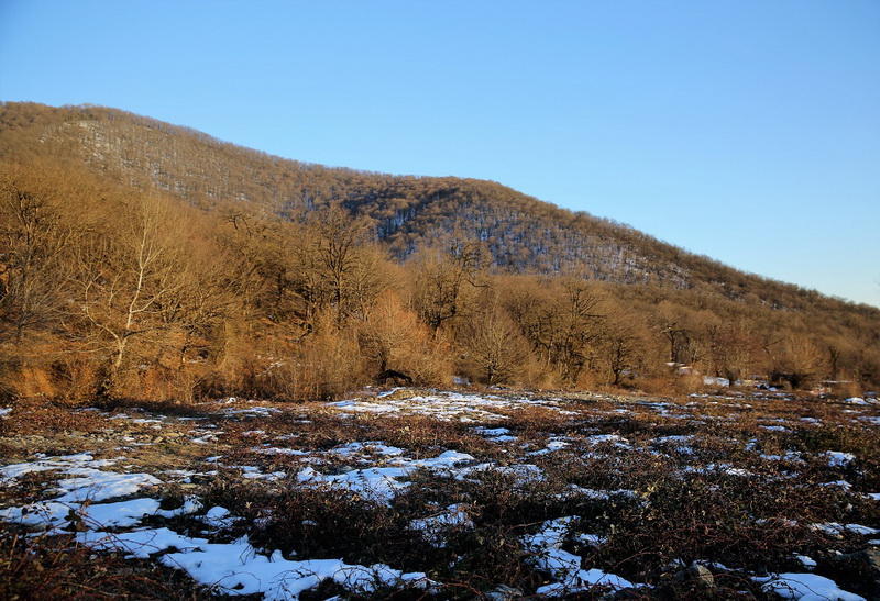 Distinctively charming nature of Oghuz [PHOTO]
