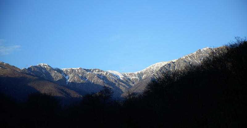 Slider Image 1