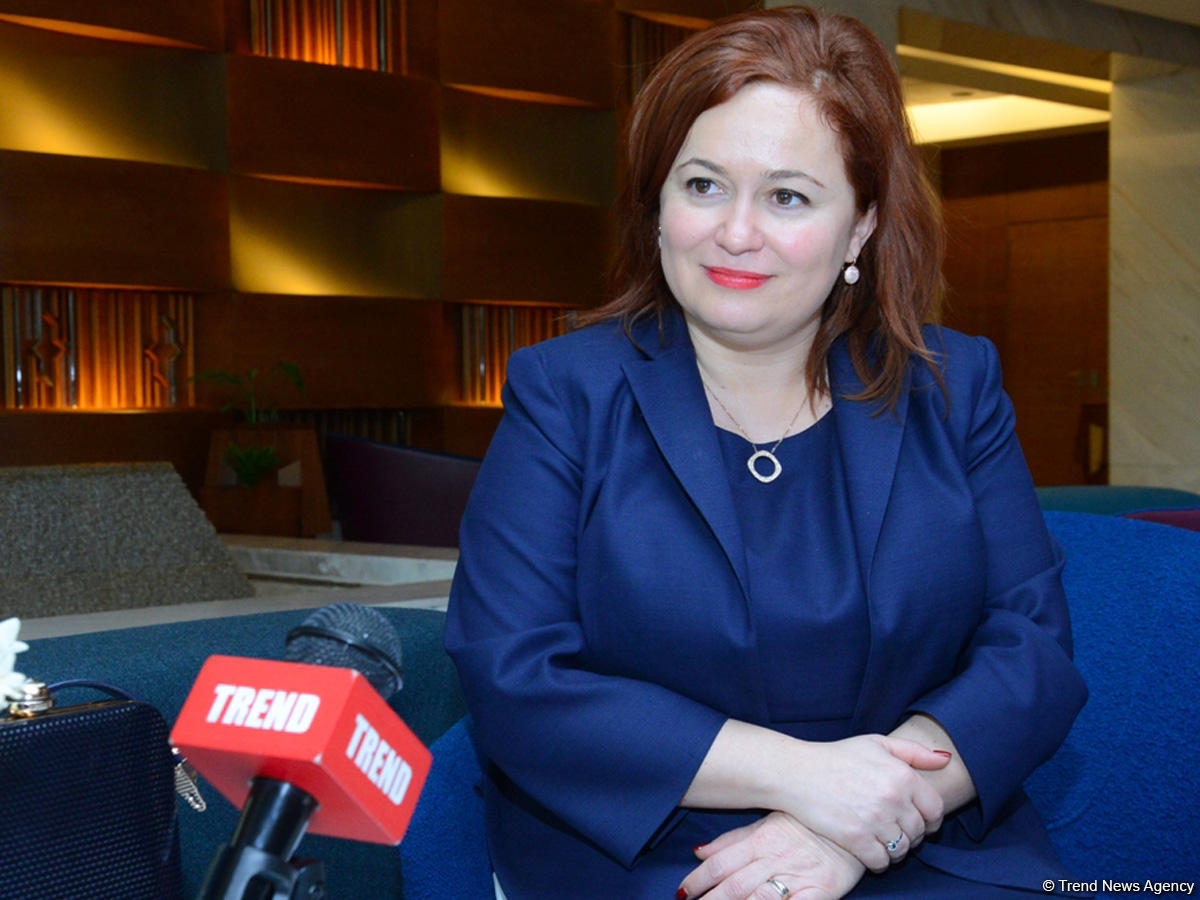 ICGB AD exec: SOCAR’s role in IGB shows its trust in this project