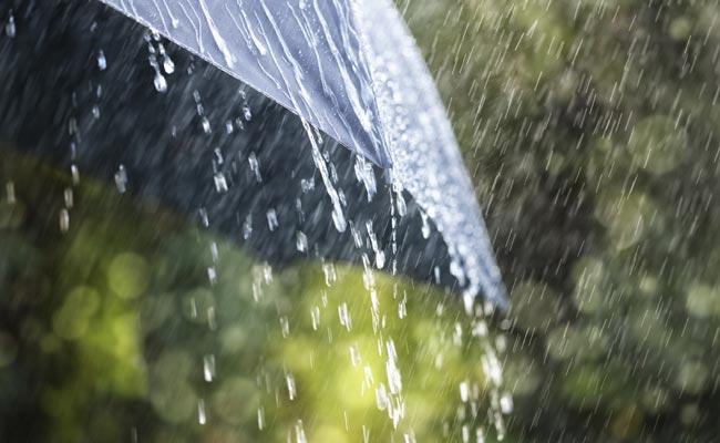 Ecologists predict rainy weather