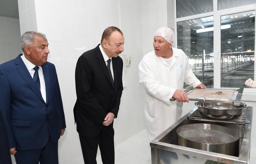 President Aliyev attended opening of Varvara fish hatchery [PHOTO]