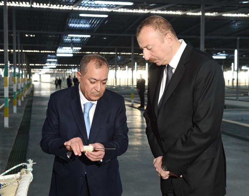 President Aliyev attended opening of Varvara fish hatchery [PHOTO]