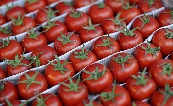 Russia not plans to open its market to Turkish tomatoes