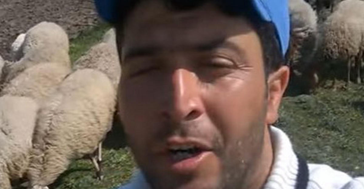 Meet Azerbaijani shepherd who became a star of social media [VIDEO]