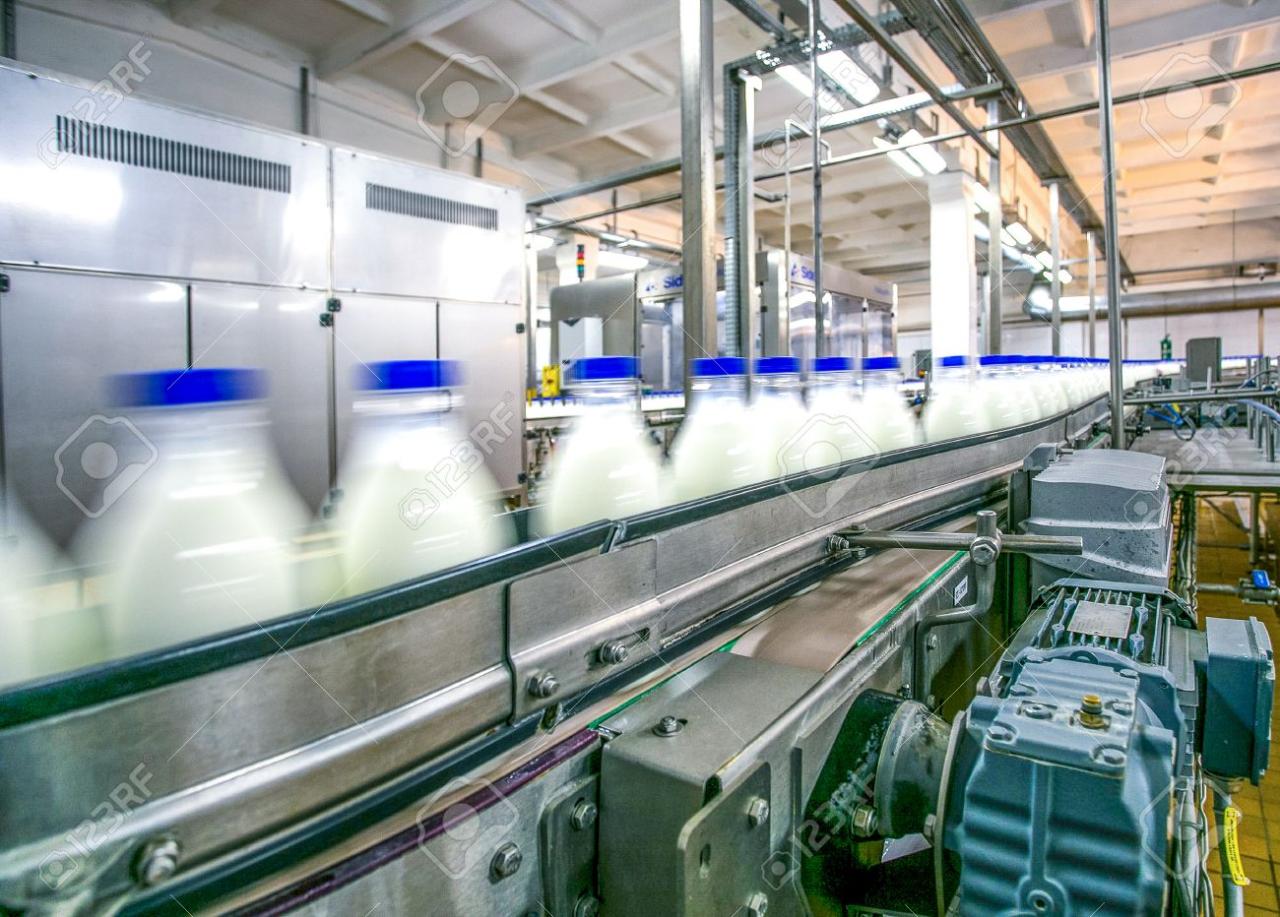Milk processing factory to be built in Tovuz