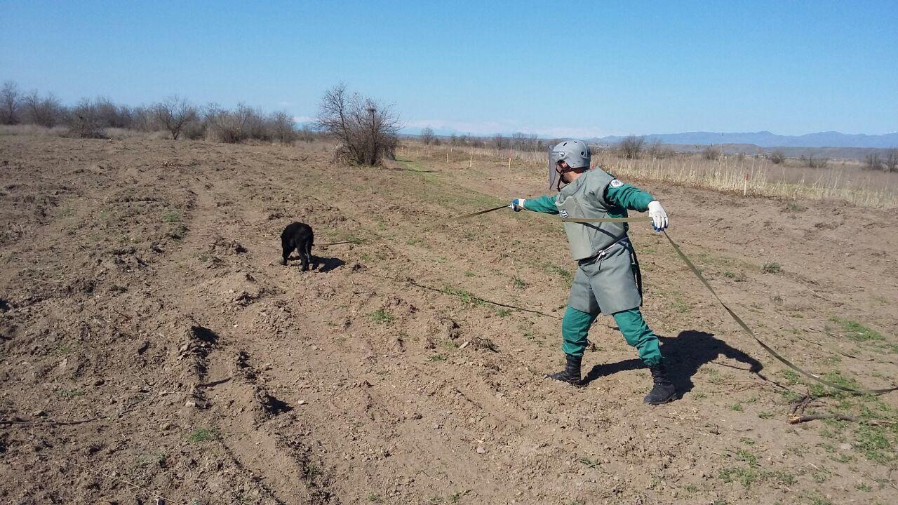 Hungary issues funds for Jeyranchel Project in Azerbaijan
