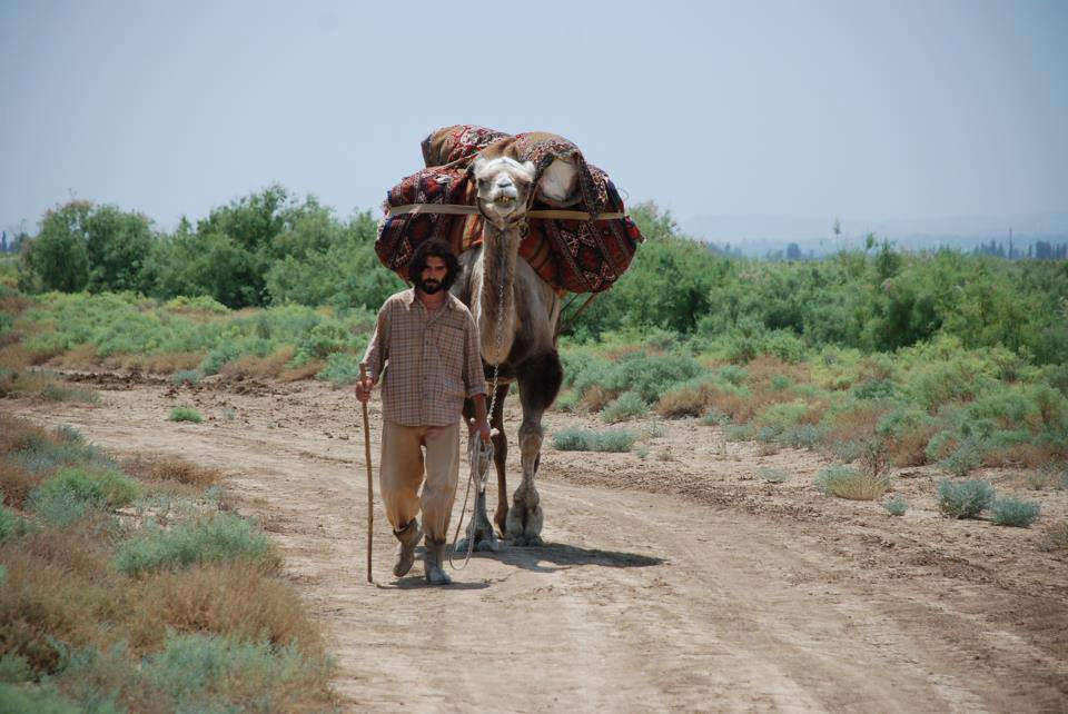 "The Steppe Man" movie enjoys global success