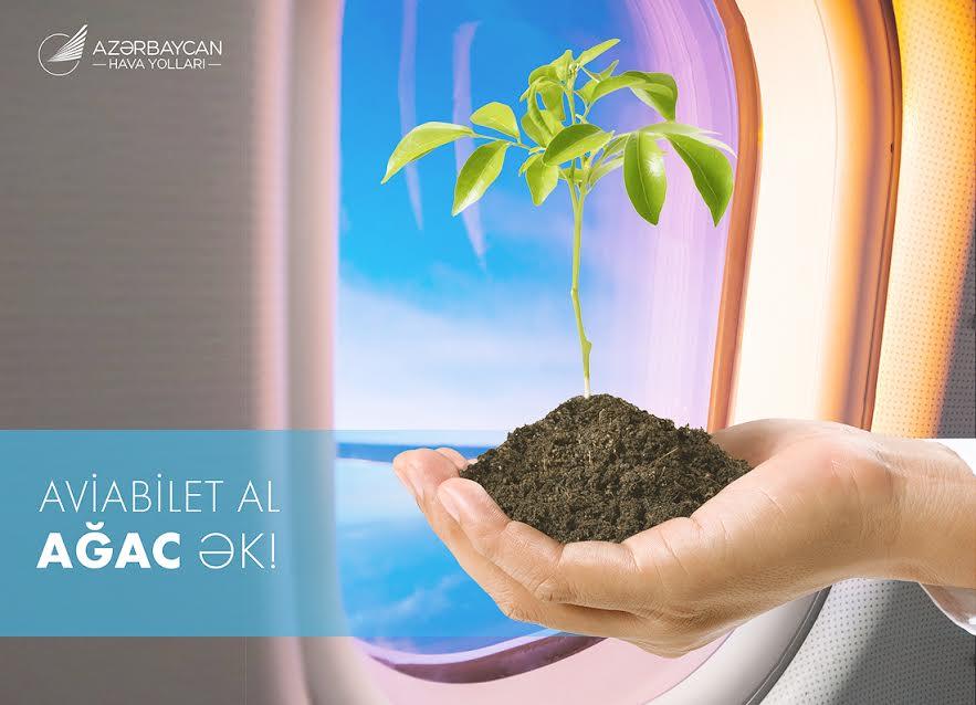 Buy AZAL flight ticket - plant a tree!