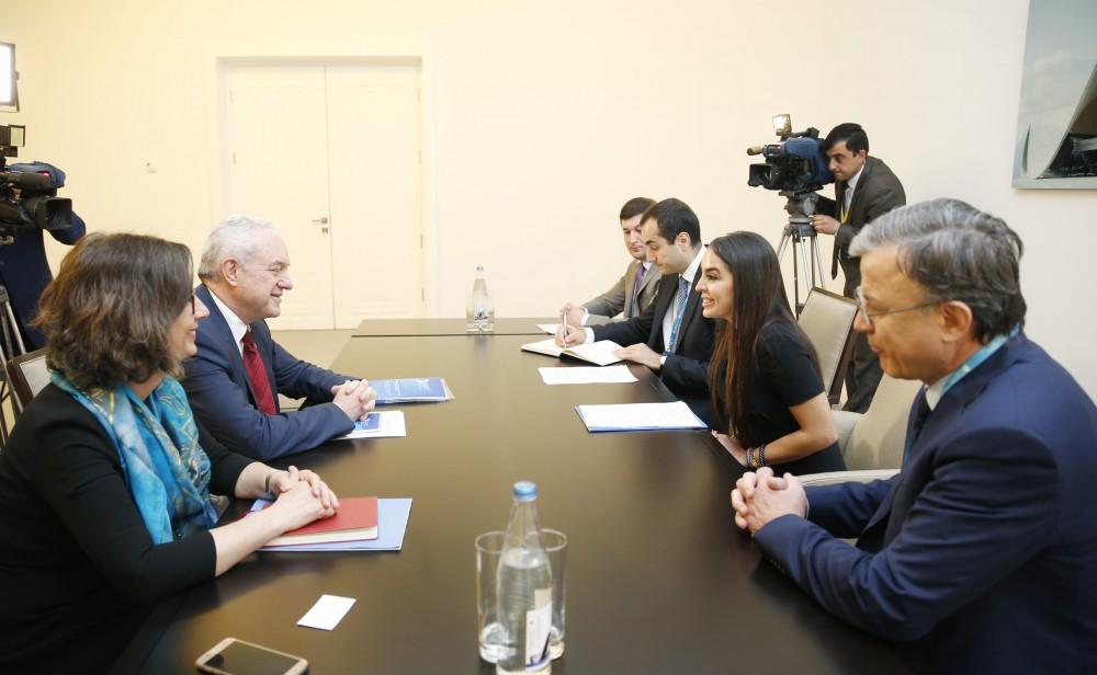 Heydar Aliyev Foundation VP meets with Directeur de Cabinet of FAO Director-General’s Office [PHOTO]