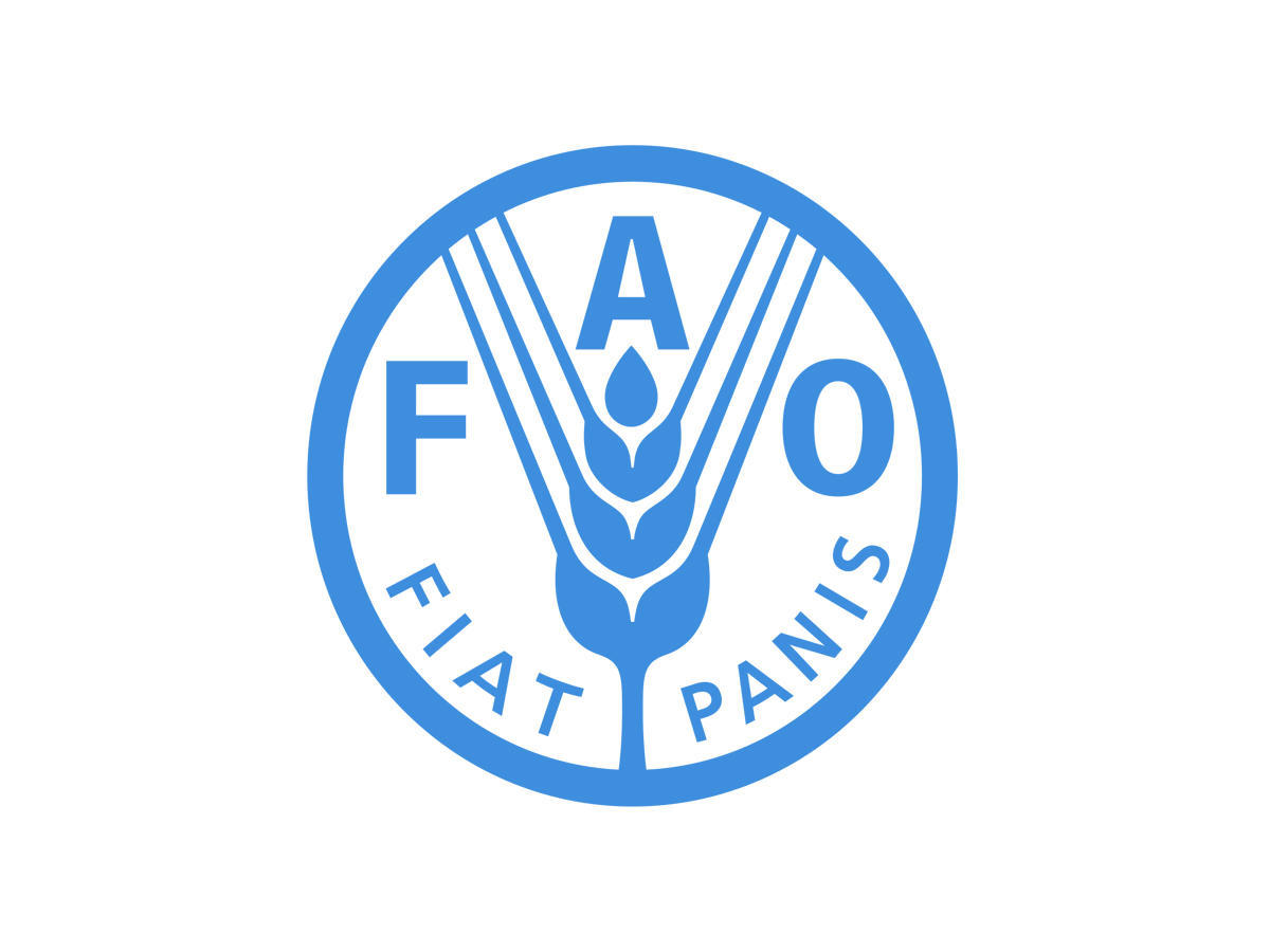 FAO: Baku acting as catalyst for positive global processes