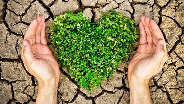 World Environment Day to be solemnly marked