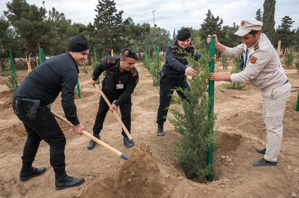 Tree Planting Campaign held at Heydar Aliyev Int’l Airport [PHOTO]