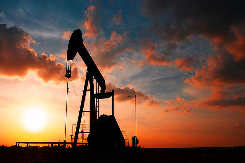Expert expects crude prices to jump up to $60