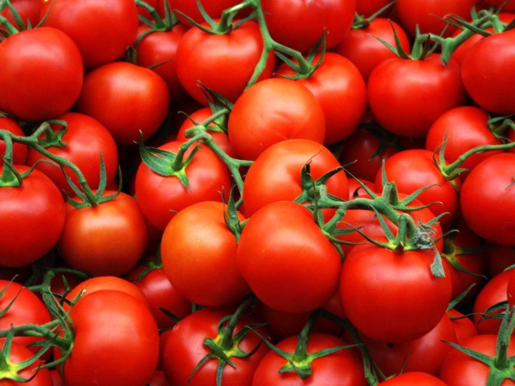 No problems observed in export of Azerbaijani tomatoes to Russia